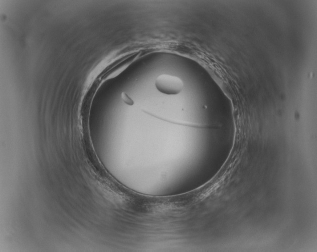 X0000069830246200605221214