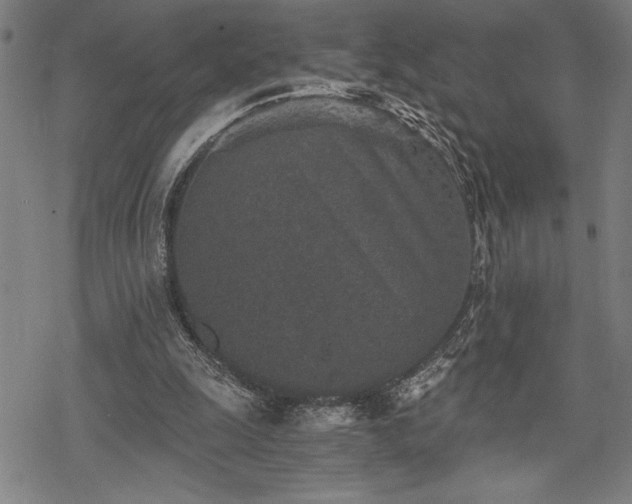 X0000069830247200605221214