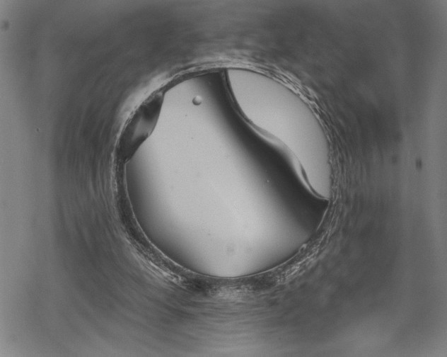 X0000069830248200605221214