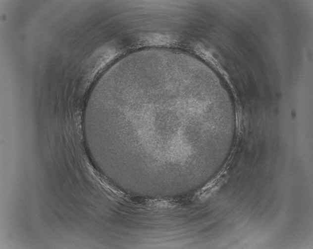 X0000069830249200605221214