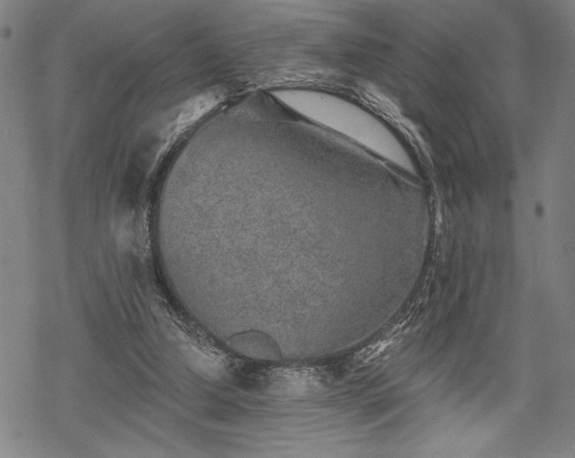 X0000069830250200605221214