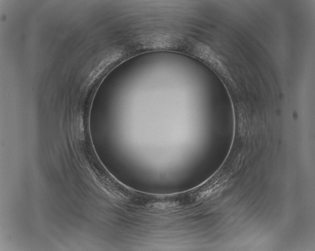 X0000069830251200605221214