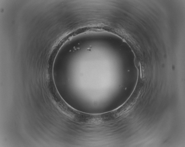 X0000069830252200605221214