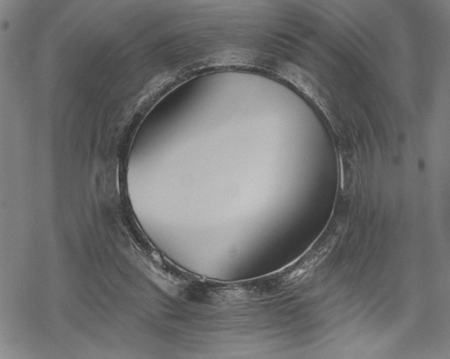 X0000069830253200605221214