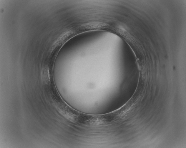 X0000069830254200605221214