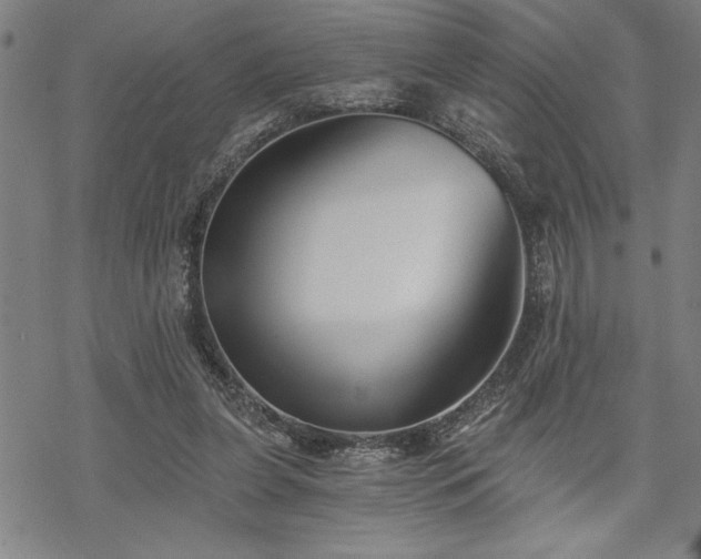 X0000069830255200605221214