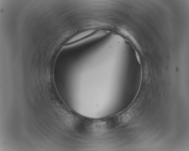 X0000069830257200605221214