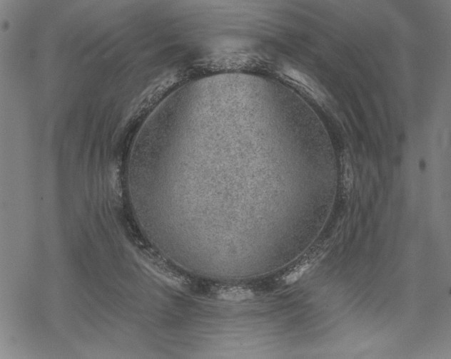 X0000069830258200605221214