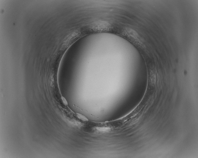 X0000069830259200605221214