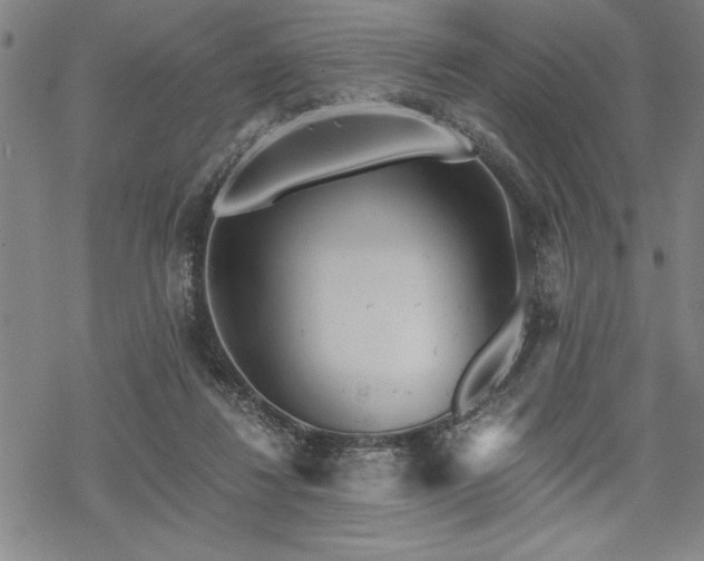 X0000069830260200605221214