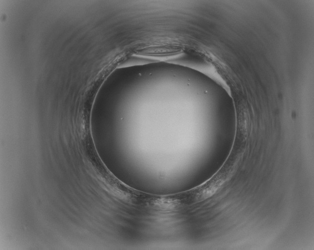 X0000069830261200605221214