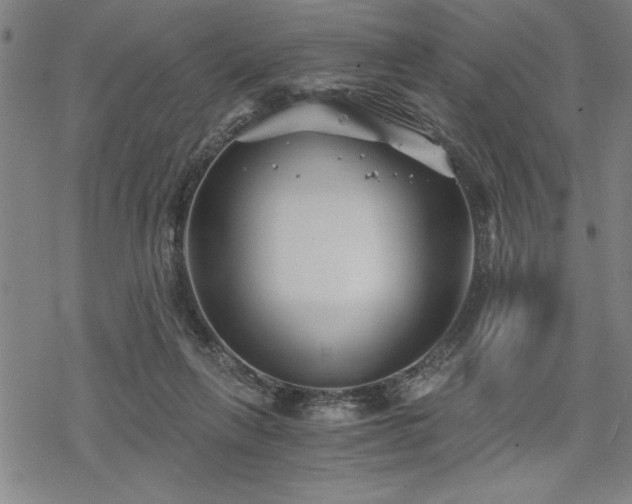 X0000069830263200605221214