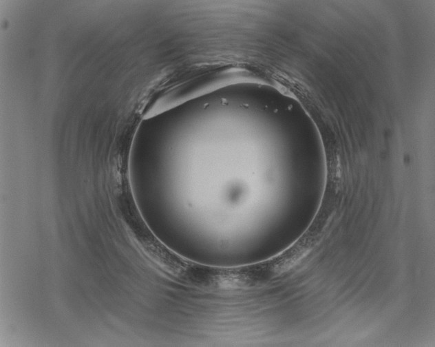 X0000069830264200605221214