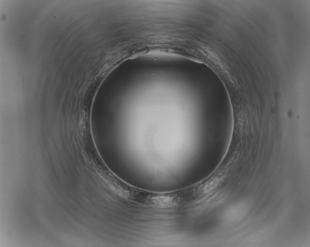 X0000069830265200605221214