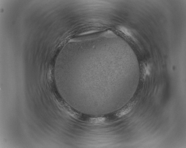 X0000069830266200605221214