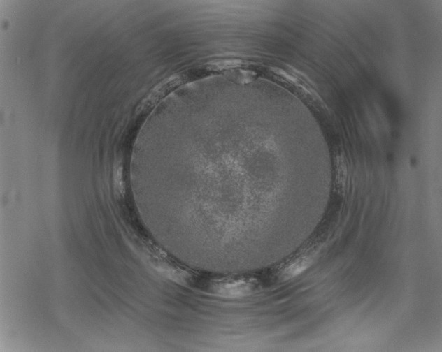 X0000069830267200605221214