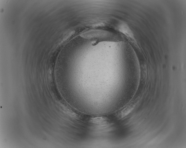 X0000069830269200605221214