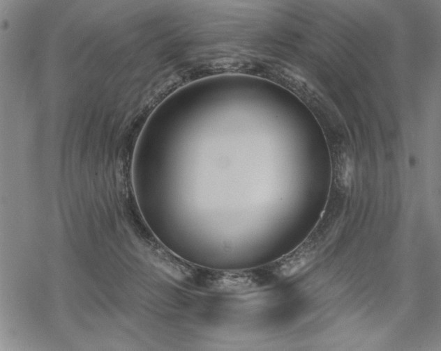 X0000069830270200605221214