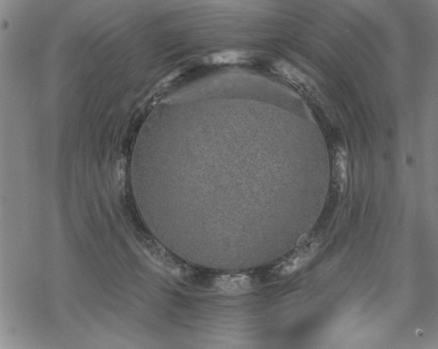 X0000069830271200605221214