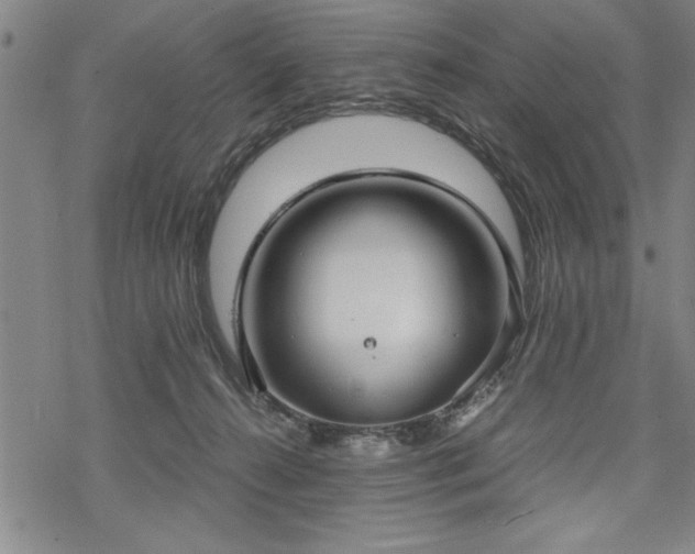 X0000069830272200605221214