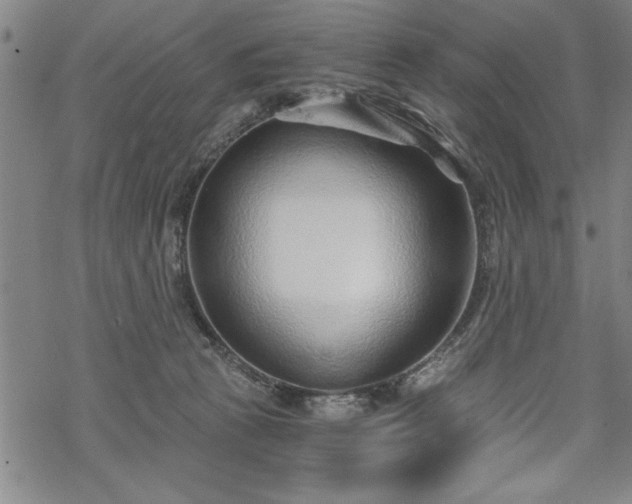 X0000069830273200605221214