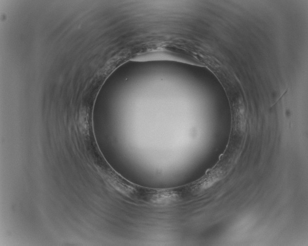 X0000069830274200605221214