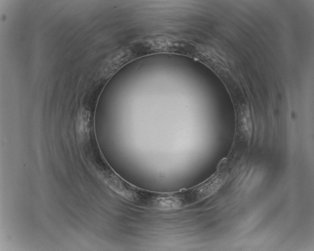 X0000069830275200605221214