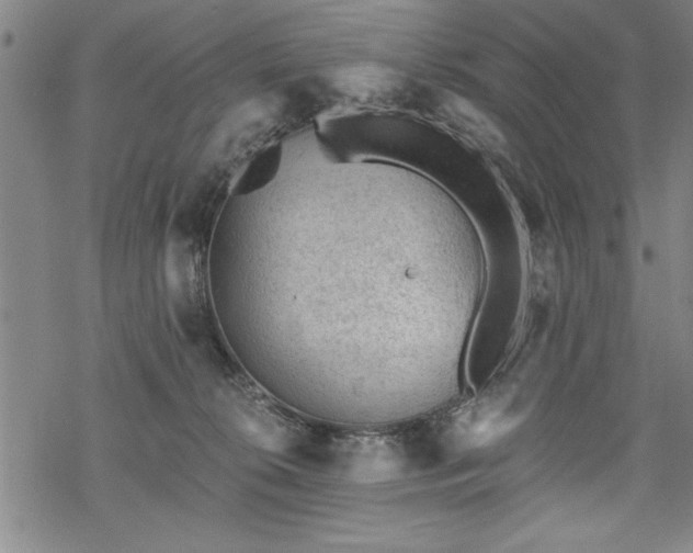 X0000069830276200605221214