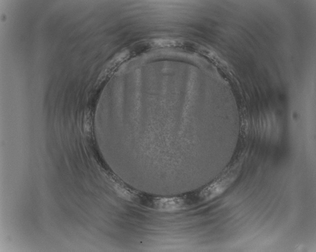 X0000069830277200605221214