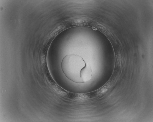 X0000069830278200605221214