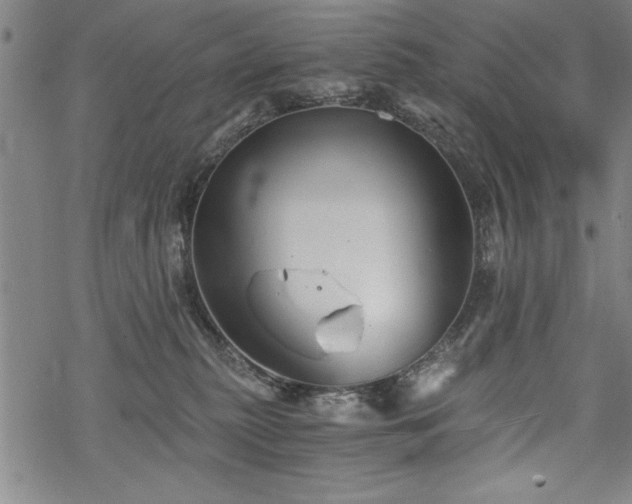 X0000069830279200605221214