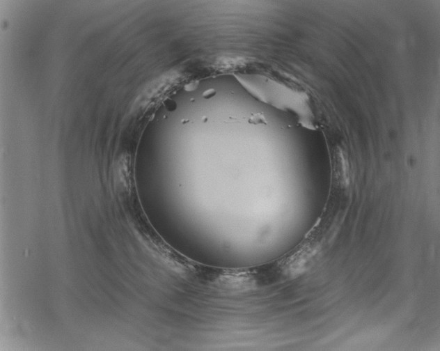 X0000069830280200605221214