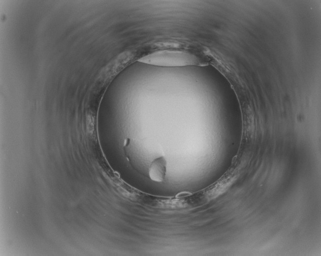 X0000069830281200605221214