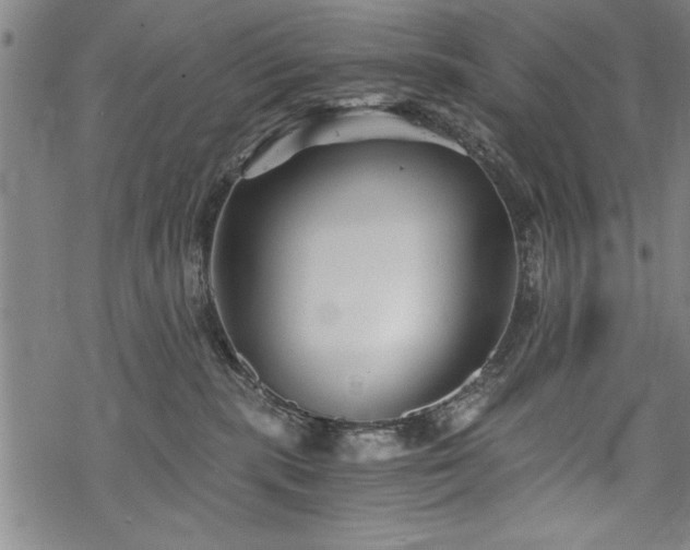 X0000069830283200605221215