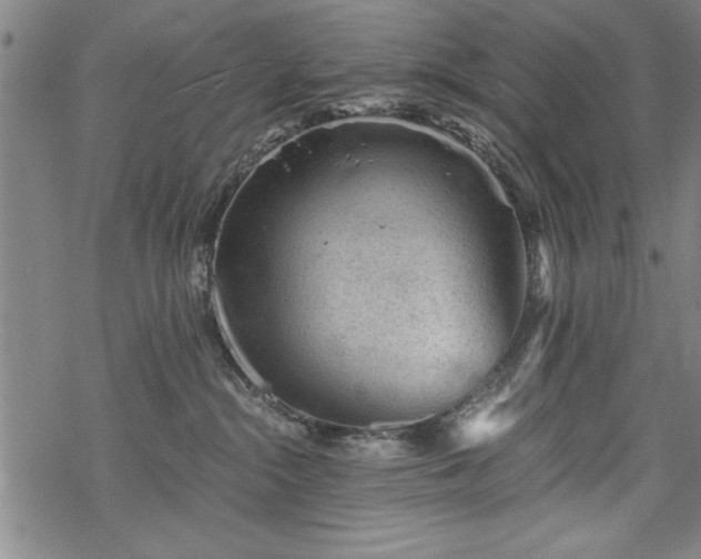 X0000069830284200605221215