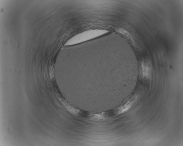 X0000069830285200605221215