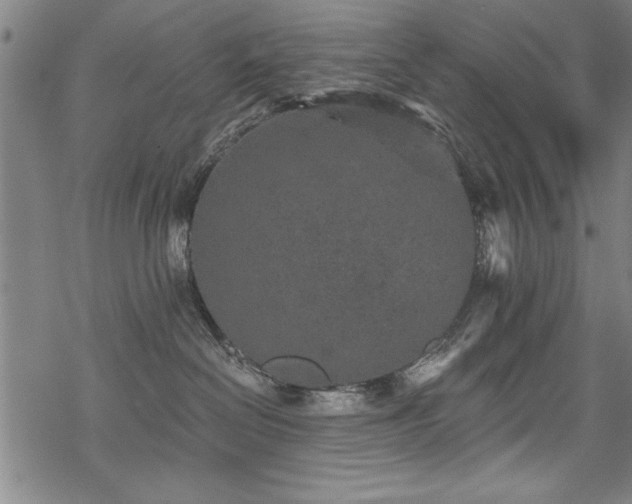 X0000069830286200605221215