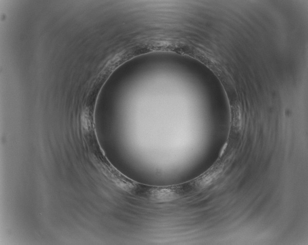 X0000069830287200605221215