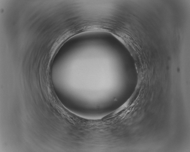 X0000069830289200605221214