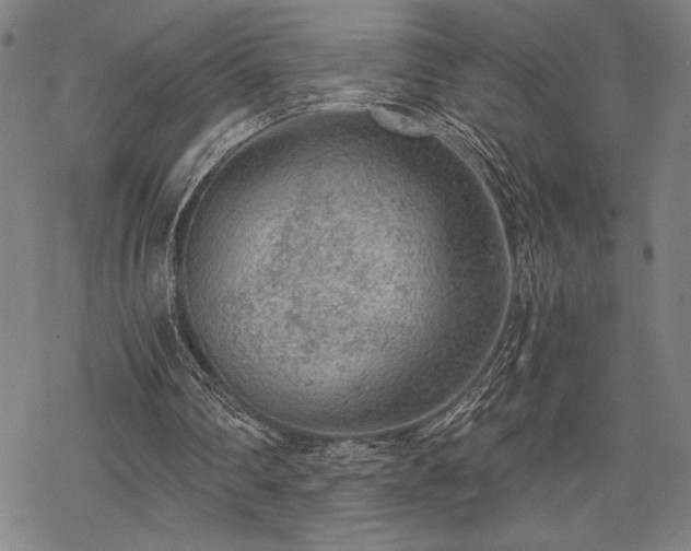 X0000069830290200605221214