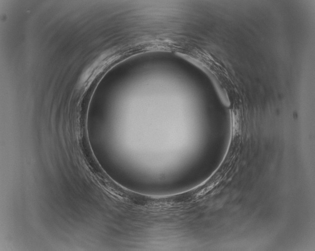 X0000069830291200605221214