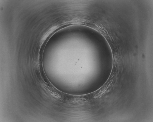 X0000069830292200605221214