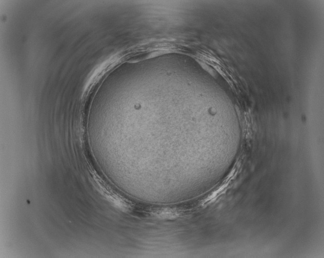 X0000069830293200605221214