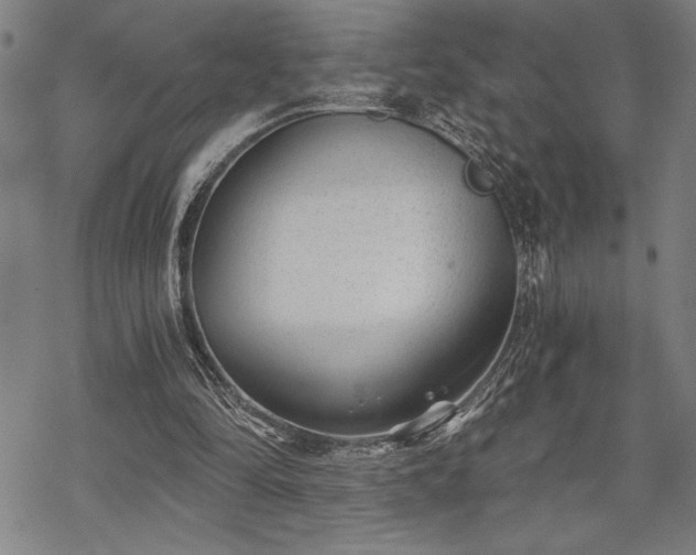 X0000069830294200605221214