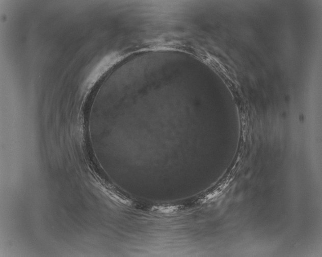 X0000069830295200605221214