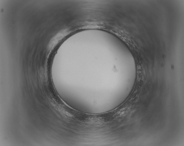 X0000069830296200605221214