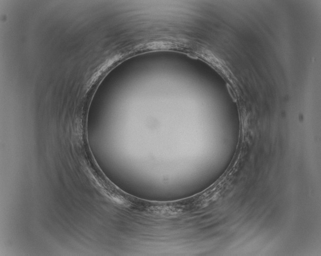 X0000069830297200605221214