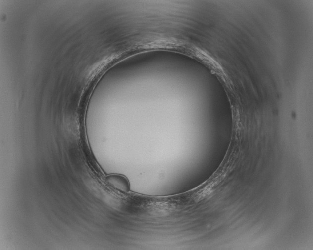 X0000069830298200605221214