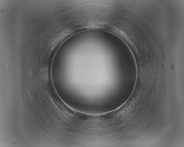 X0000069830299200605221214