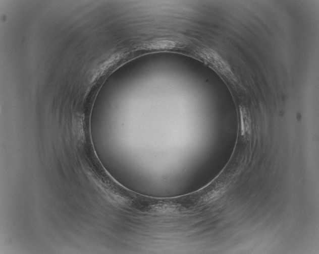 X0000069830300200605221214